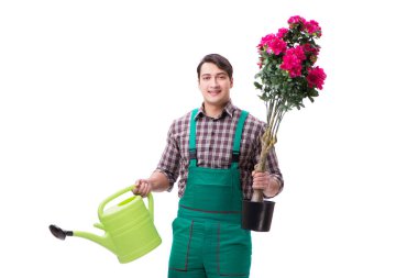 Genç bahçıvan beyazı izole etmiş.