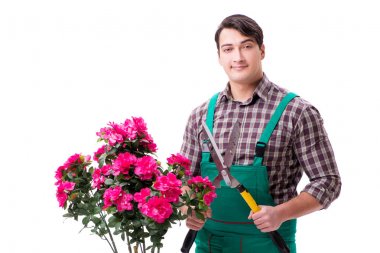 Genç bahçıvan beyazı izole etmiş.