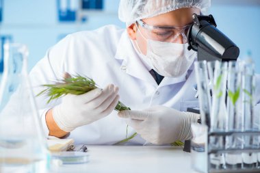 Laboratuvarda bilim adamıyla biyoteknoloji kavramı