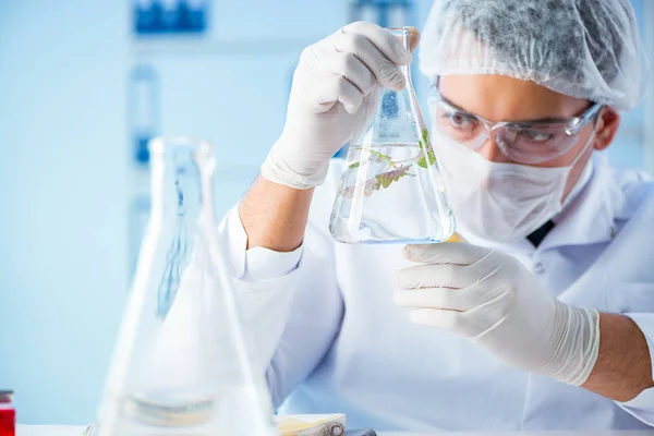 Biotechnologie concept met wetenschapper in lab — Stockfoto