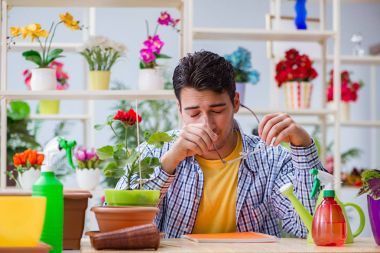 Çiçekçide çalışan genç bir adam.