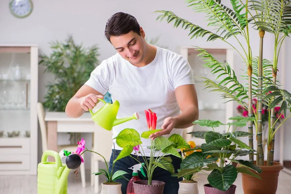 Anak muda berkebun konsep di rumah — Stok Foto