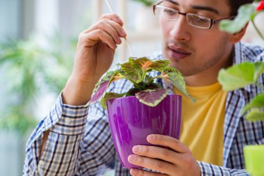 Çiçekçide çalışan genç bir adam.