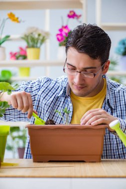 Çiçekçide çalışan genç bir adam.