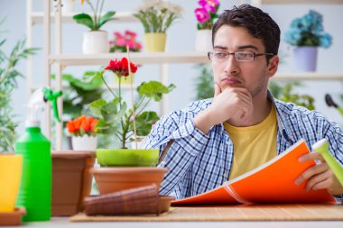 Çiçekçide çalışan genç bir adam.