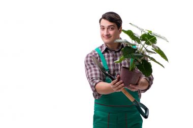 Genç bahçıvan beyazı izole etmiş.