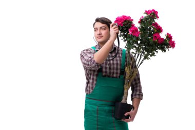 Genç bahçıvan beyazı izole etmiş.