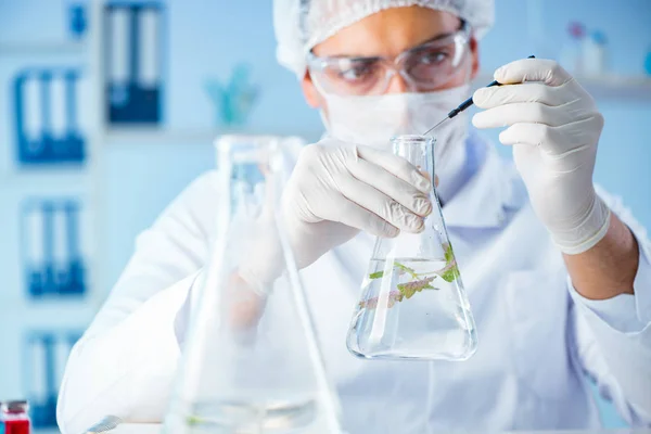 Concepto de biotecnología con científico en laboratorio —  Fotos de Stock