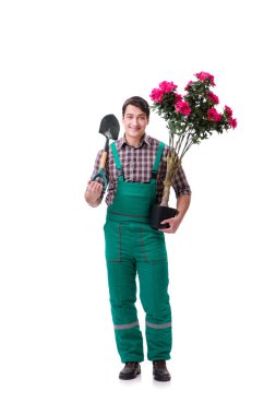 Genç bahçıvan beyazı izole etmiş.