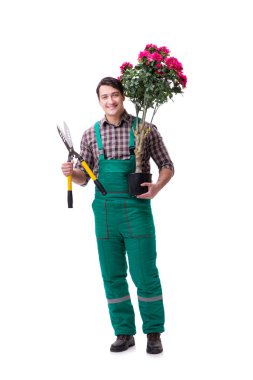 Genç bahçıvan beyazı izole etmiş.