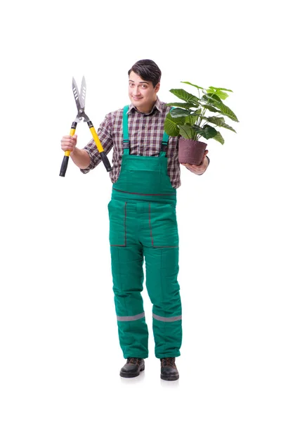 Jeune homme jardinier isolé sur blanc — Photo