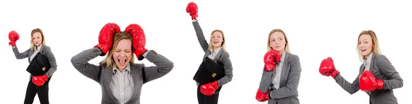 Femme d'affaires avec gants de boxe sur blanc — Photo