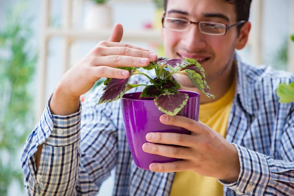 Floristería joven trabajando en una florería — Foto de Stock