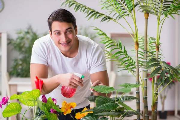 Junger Mann im Gartenkonzept zu Hause — Stockfoto