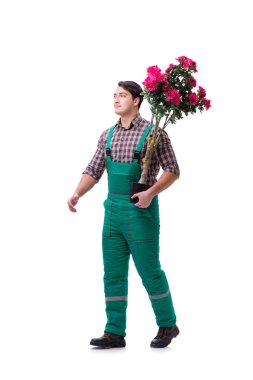 Genç bahçıvan beyazı izole etmiş.