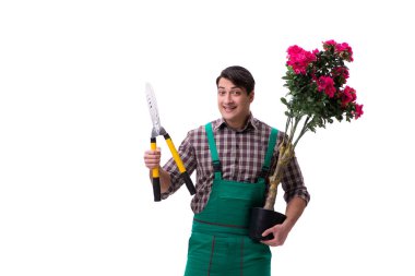 Genç bahçıvan beyazı izole etmiş.