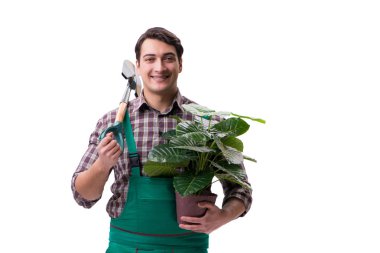 Genç bahçıvan beyazı izole etmiş.