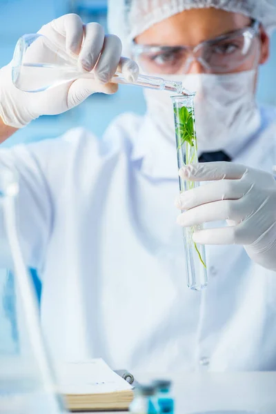 Concepto de biotecnología con científico en laboratorio — Foto de Stock