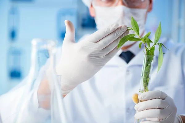 Concetto biotecnologico con scienziato in laboratorio — Foto Stock