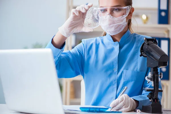 Pesquisadora cientista conduzindo uma experiência em um labora — Fotografia de Stock