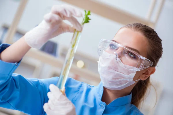 Investigadora científica que realiza un experimento en un labora —  Fotos de Stock