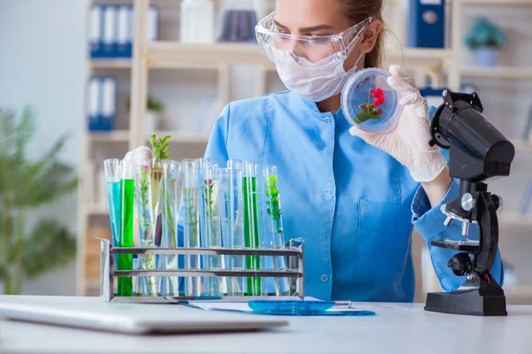 Vrouwelijke wetenschapper onderzoeker voert een experiment uit in een laboratorium — Stockfoto