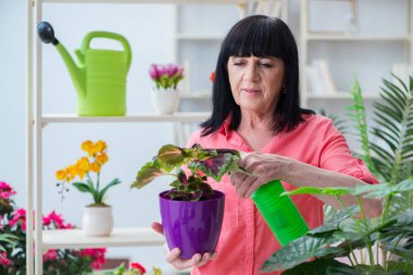 Çiçekçide çalışan kadın çiçekçi