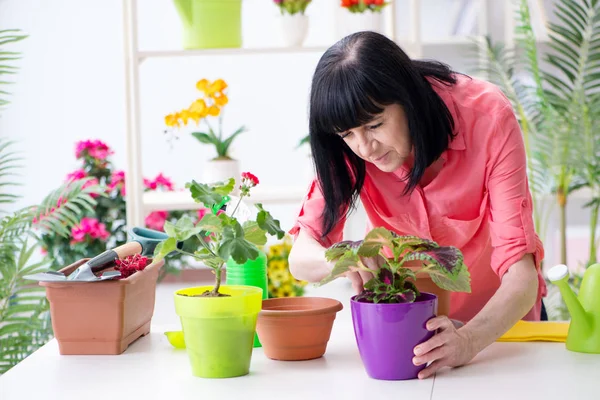 Mujer florista trabajando en la florería —  Fotos de Stock