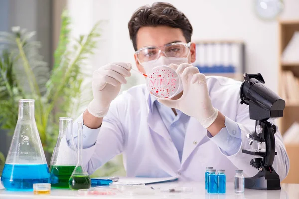 Médico varón que trabaja en el laboratorio con la vacuna contra el virus —  Fotos de Stock