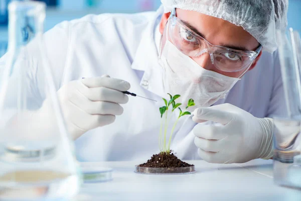 Bioteknikkoncept med forskare i labb — Stockfoto