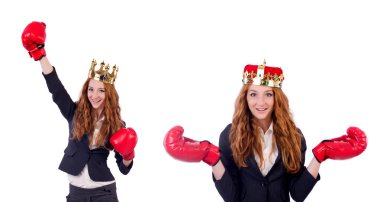 Kraliçe boksör işkadını beyaz izole