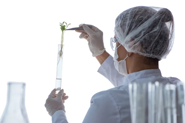 Vrouwelijke wetenschapper onderzoeker voert een experiment uit in een laboratorium — Stockfoto