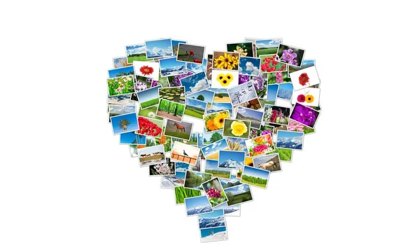 Doğa fotoğrafları yapılmış kalp şekli