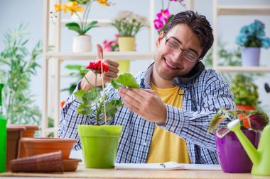 Çiçekçide çalışan genç bir adam.