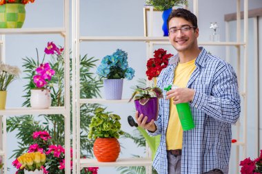 Çiçekçide çalışan genç bir adam.