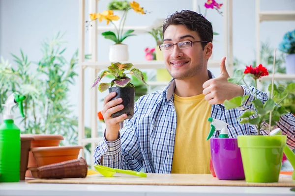 Çiçekçide çalışan genç bir adam.