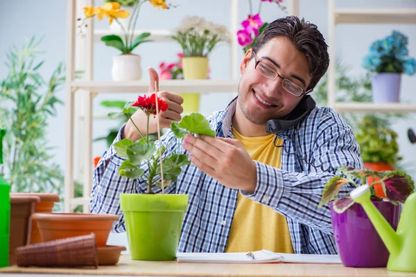 Çiçekçide çalışan genç bir adam.