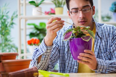 Çiçekçide çalışan genç bir adam.