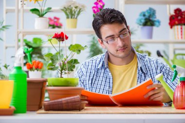 Çiçekçide çalışan genç bir adam.