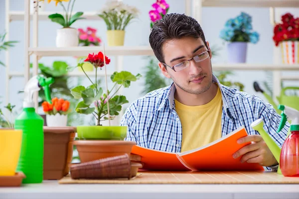 Çiçekçide çalışan genç bir adam.