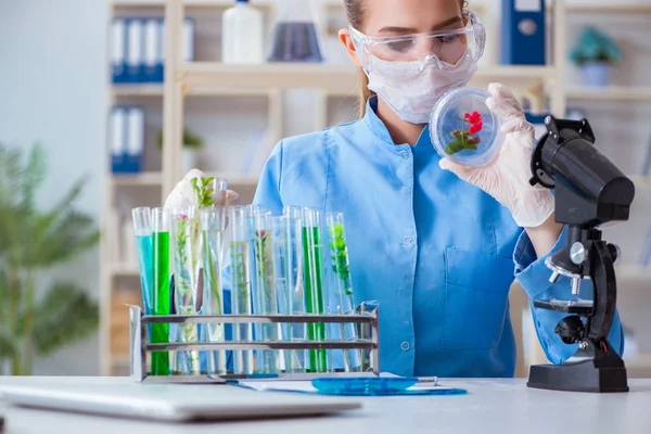 Pesquisadora cientista conduzindo uma experiência em um labora — Fotografia de Stock