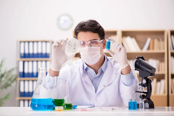 Médico varón que trabaja en el laboratorio con la vacuna contra el virus —  Fotos de Stock