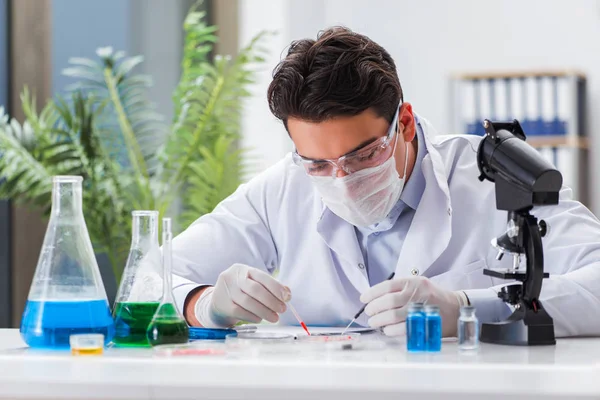 Männlicher Arzt arbeitet im Labor an Virusimpfung — Stockfoto