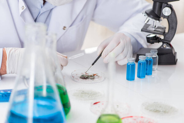 Male doctor working in the lab on virus vaccine