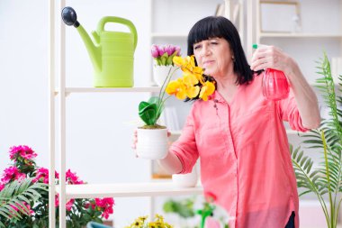 Çiçekçide çalışan kadın çiçekçi