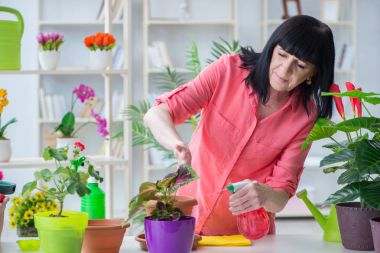 Çiçekçide çalışan kadın çiçekçi