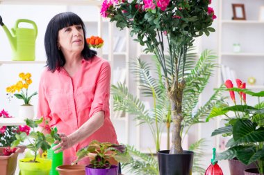 Çiçekçide çalışan kadın çiçekçi