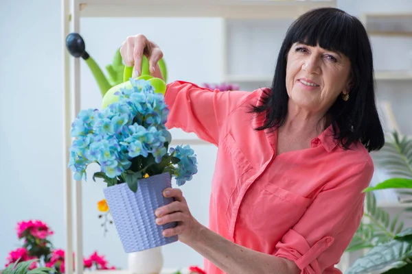 Woman florist working in the flower shop