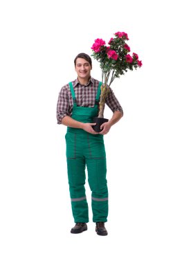 Genç bahçıvan beyazı izole etmiş.