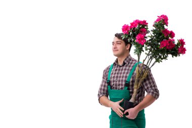 Genç bahçıvan beyazı izole etmiş.